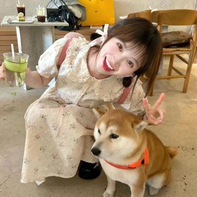 情侠艾夫传